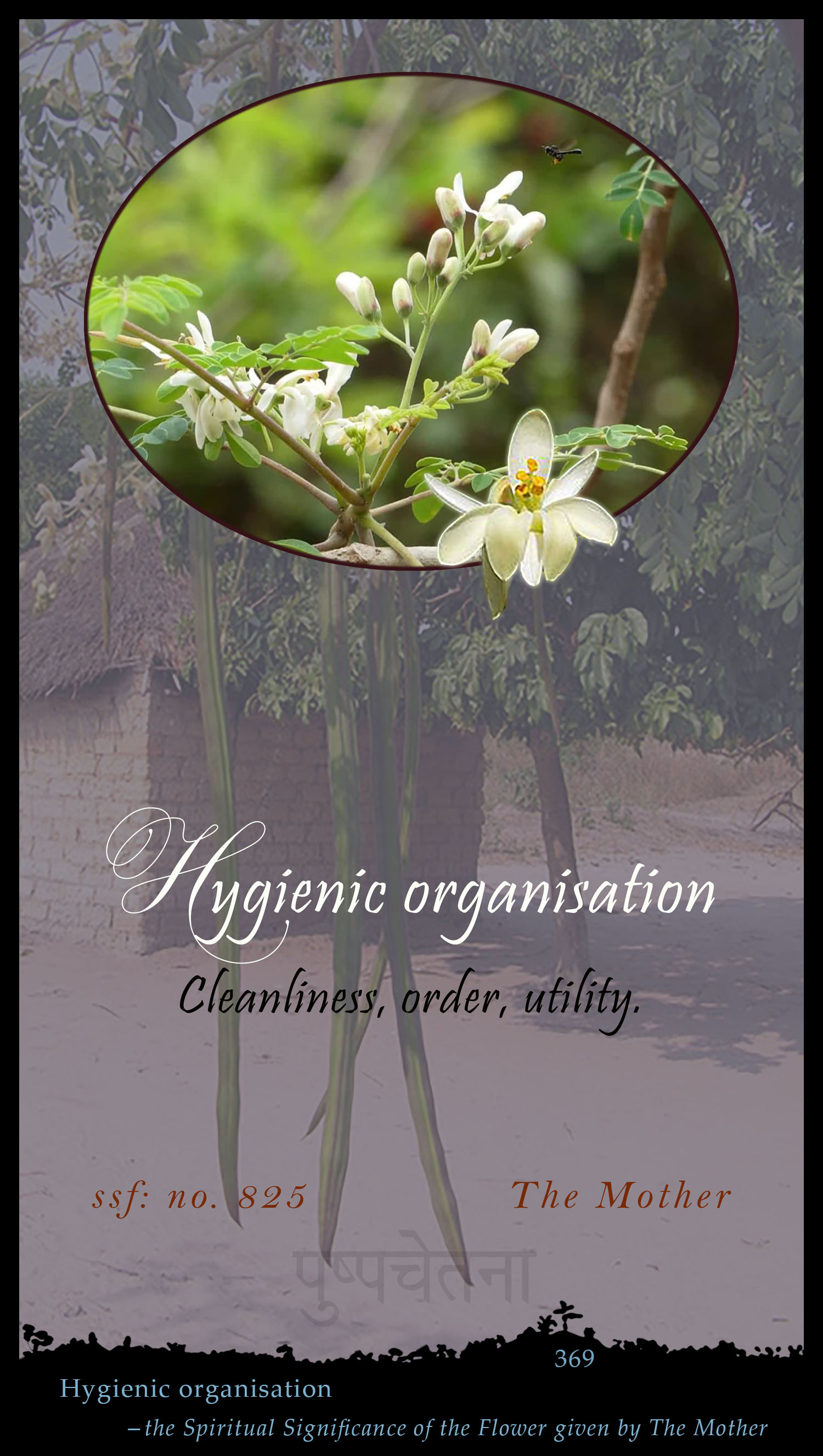Hygienic Organisation